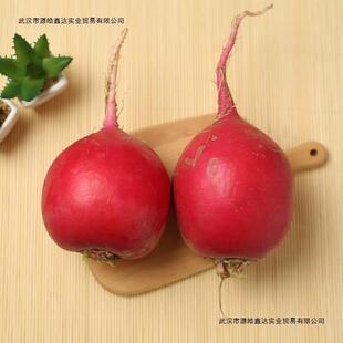 �|����t�}�� �tƤ���Ĵ�t�ۈA�}�����r�r�Ҵ����������5����]