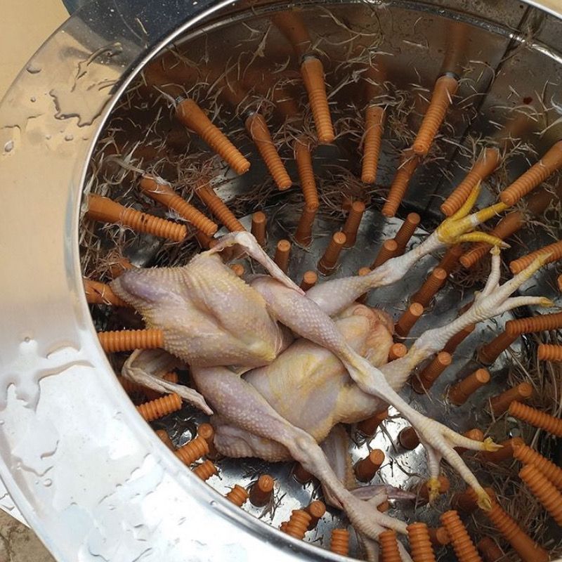 杀鸡鸭鹅全自动家禽脱毛机商用家用型拔毛机纯铜电机不锈钢退毛机