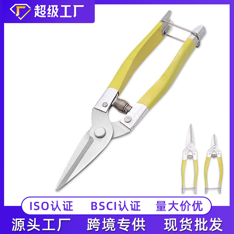 稀果剪修枝剪水果采摘剪枝园艺蔬果剪苗圃花卉柑橘剪刀厂家批发