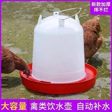 加厚鸡水壶鸡喝水自动饮水器水桶喂鸡水槽鸭鹅喂水器养鸡养殖设备