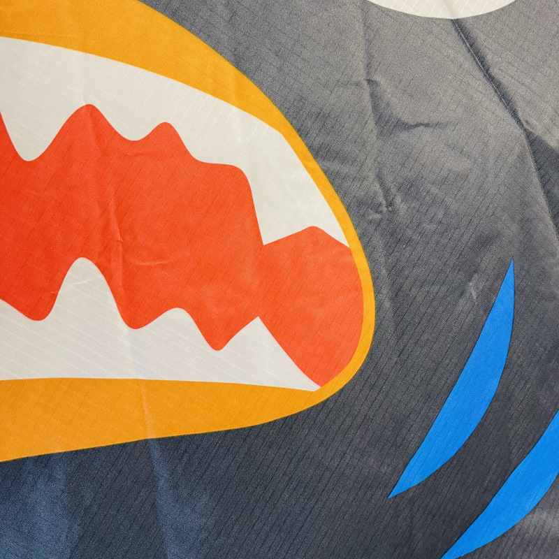 DH三角鲨鱼 (4).jpg