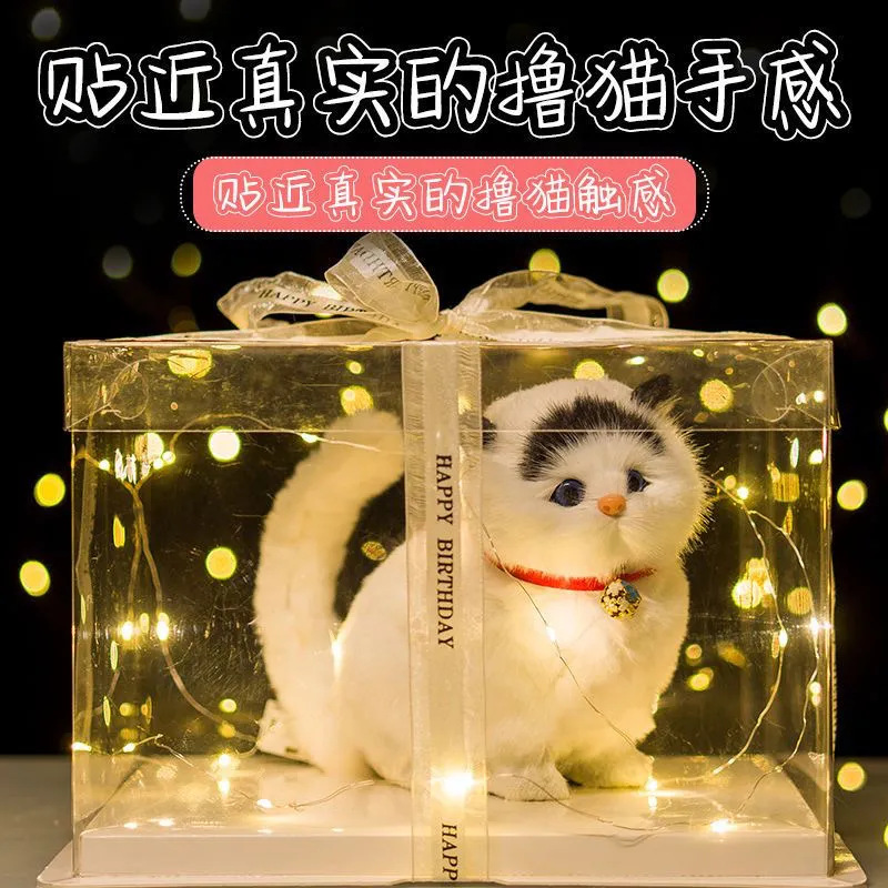 Gato Chichi, regalo de cumpleaños para su esposa, amiga, compañera de clase, regalo de caja de regalo asequible. image 14