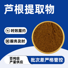 芦根提取物 深棕色粉末 草木香气 易溶于水 干燥密封储存 现货