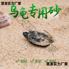 孵化乌龟草龟天然底砂产蛋鱼缸装饰造景砂子冬眠下蛋养殖沙河沙