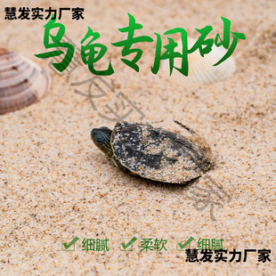 ��������������Ȼ��ɰ�a���~���b��쾰ɰ�Ӷ����µ��Bֳɳ��ɳ