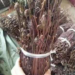 ���滨 �JȔ�� ����Ұ�� �߼��� ��é�����`֥���������