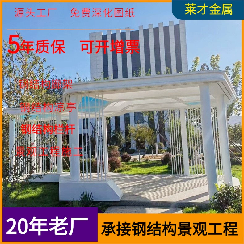 Крупномасштабная конструкция из нержавеющей стали из стальной конструкции