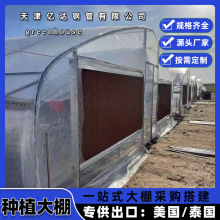 出口农业种植大棚管内棚黑白膜避光遮阳大棚铺设防草布避光遮阳网