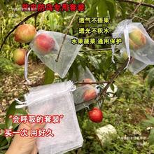 水果套袋防鸟网纱袋瓜果防虫专用袋无花果枇杷葡萄桃子草莓保护袋