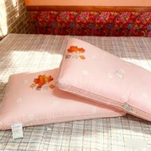 a���оһ����׃�δ��w�S�o�i�i׵