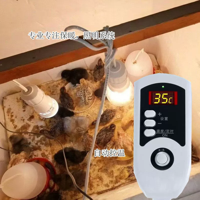 Термальная лампа для детонок Ящик с автоматическим контролем коробки с подогревом