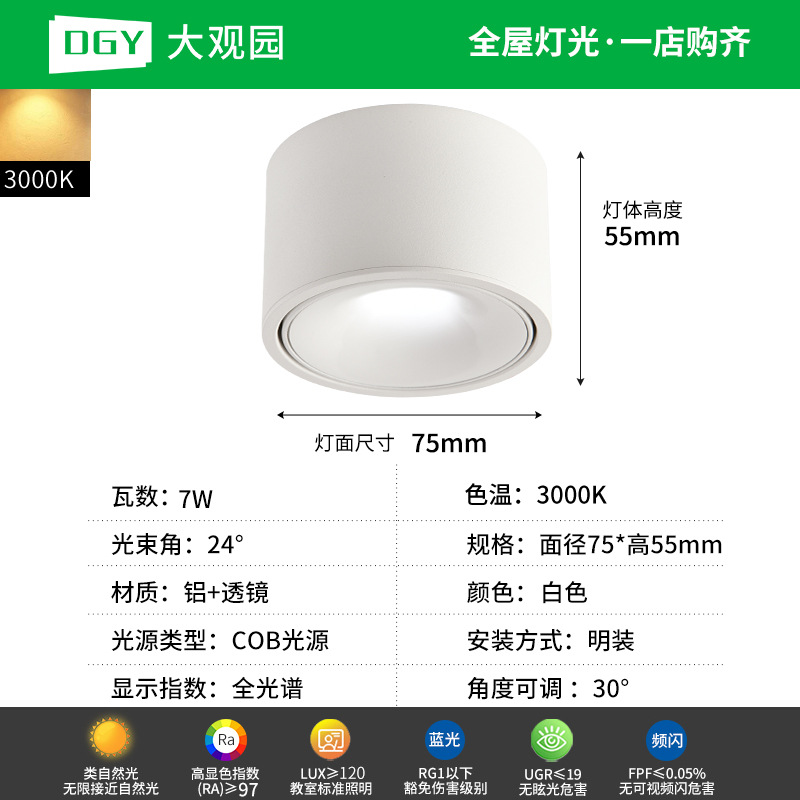 Da Guan Jardín luz de reflector anti-deslumbramiento colina sala de estar sin luz principal luz de techo downlight led corredor luz de techo 495L image 11