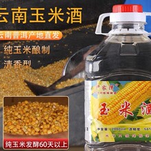 云南玉米酒50度农家自酿包谷酒纯粮原浆白酒桶装固态法清香型泡酒