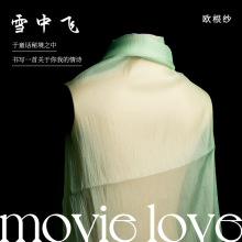 雪花飞雪中飞欧根纱褶皱轻薄飘逸布料女装连衣裙装饰背景纱慢面料