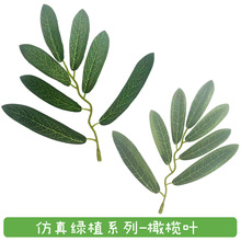 ����Gֲ �ϙ��~ �Ҿ��b�ֲ��Gֲ����~�zӰ���߼٘�֦�b�