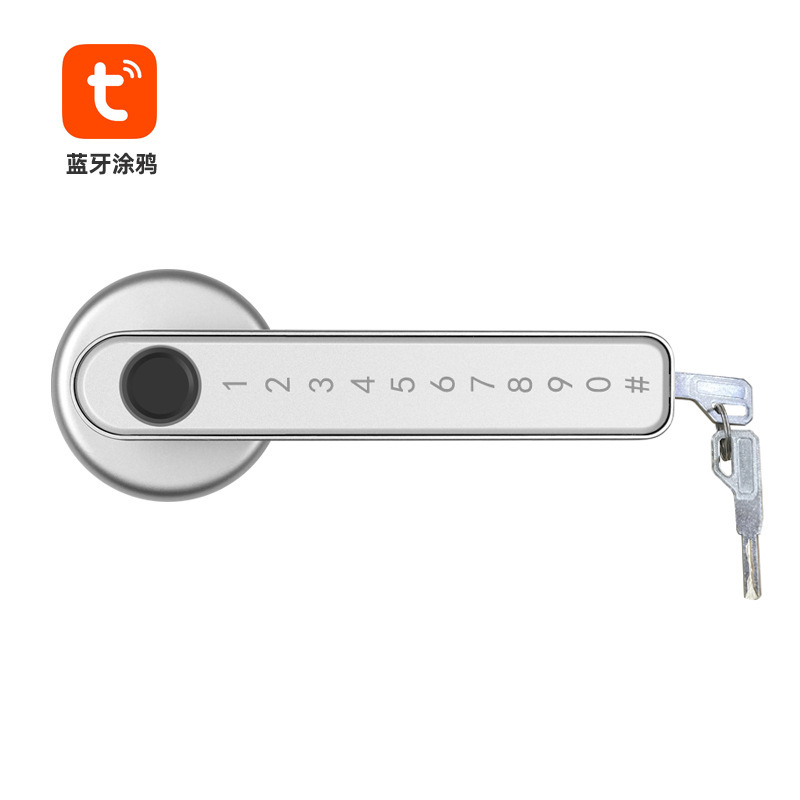 Antiguo graffiti Smart Lock Bluetooth Control de madera interior puerta dormitorio Oficina Mute contraseña huella digital bloqueo