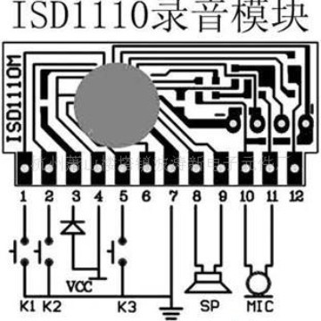 IC 130*93707726波涛新电子元件厂 音乐芯片IC录音芯片功放板电路