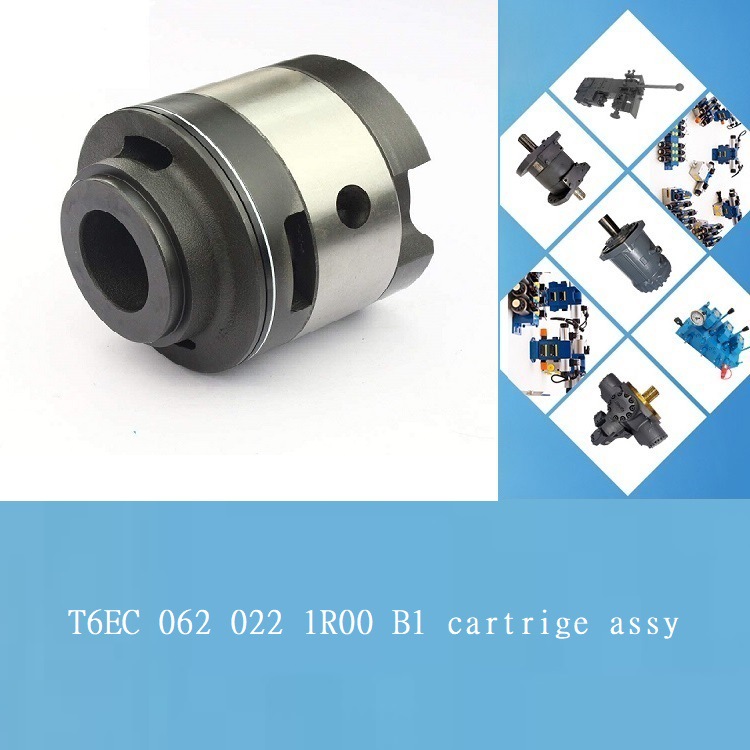 DENISON丹尼逊泵芯vane pump T6EC 062 022 1R00 B1船舶液压配件