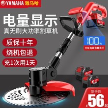 늄ӸݙCС늳ݙCʽ๦_Ĉ@ִݙC