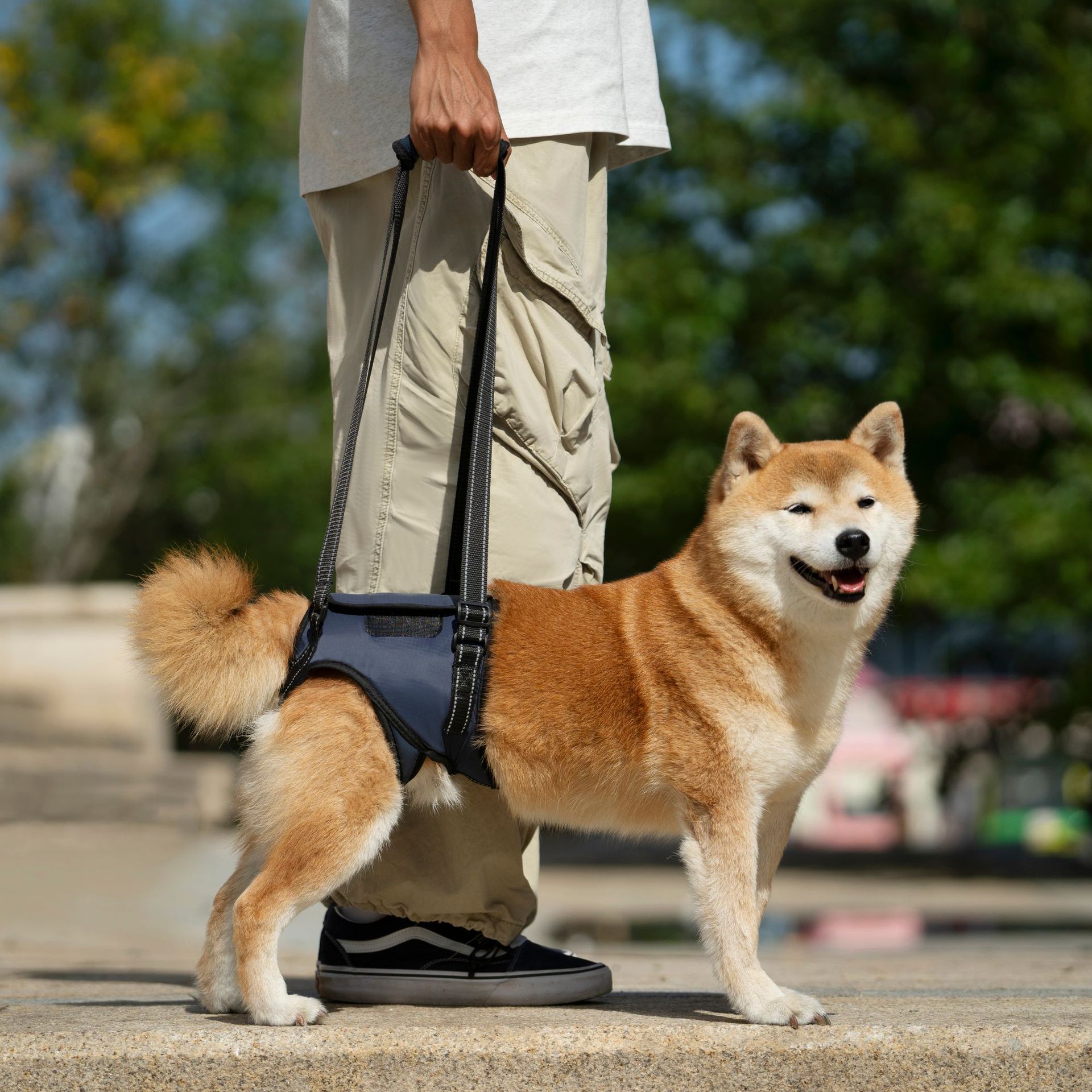 Cinto de suporte para patas traseiras de cães idosos_voghion.com
