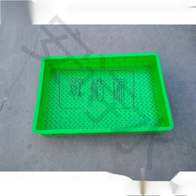 ѿ�������P����ѿˮ����ˮ�໨���Nֲ�䶹ѿ��Ҏģ�Nֲ��