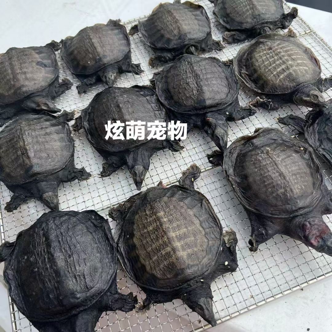 FA39CAD0-B1FF-48A3-87E3-1DC6F5