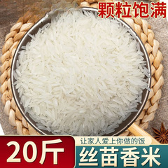 大米10kg一袋2023年当季晚稻丝苗长粒新茉莉猫牙油粘米现货网红无