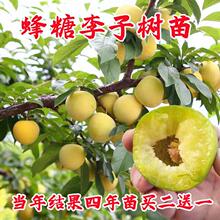 ���ڷ������Ә����F��Ó�����Ә��������Ϸ������������Ԯ���Y��