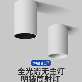 吸顶灯;吊灯;风扇灯