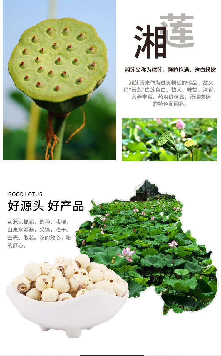 White Lotus Seeds Bai Lian Zi 500g Dried Coreless Hunan Lotus Seeds for Soup and Congee key features