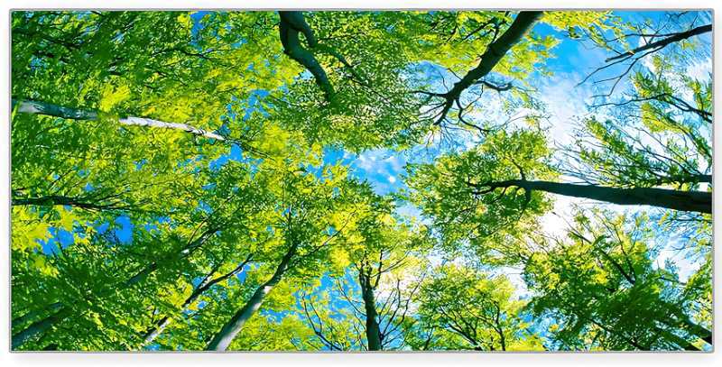 포레스트 스카이 2 (121*61)