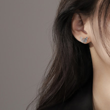 ��؈�� 2025���¿�̩�yС��Ů���Ů���|�r���䵭�L������ᔴ��l