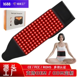 电子美容仪;面罩美容仪;电热护膝护腰