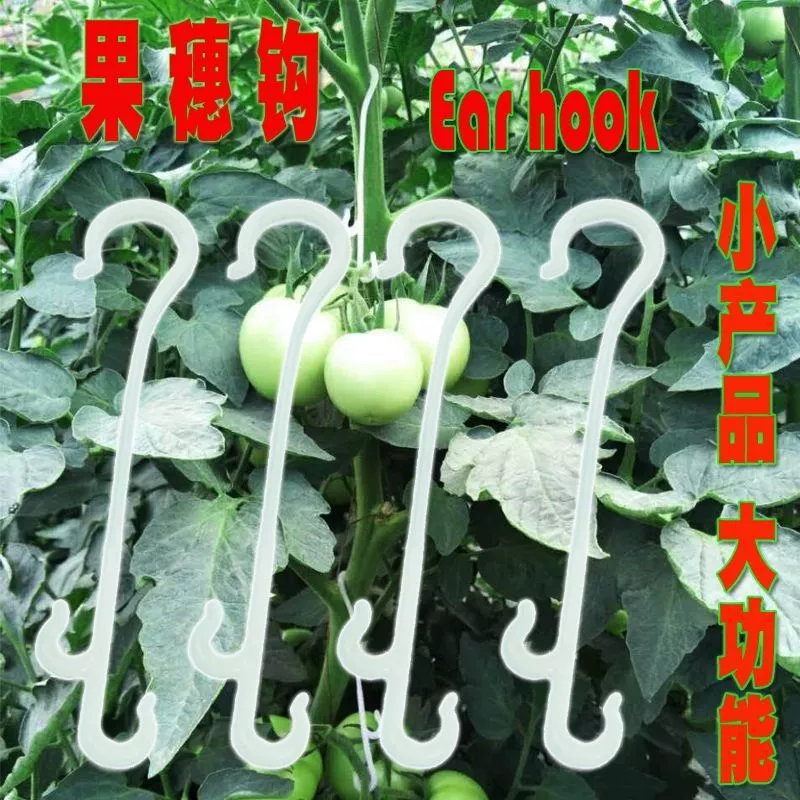 Крючок 38 для подвешивания кластеров фруктов, крючки для поддержки виноградной лозы для сбора перца и помидоров, крючки для фруктов 55, пластиковые крючки для подвешивания винограда.