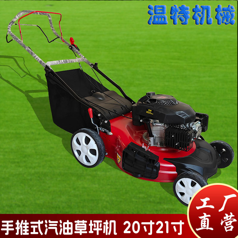 出口批发汽油式手推草坪机 园林物业自走碎草机 家用草坪机修剪机