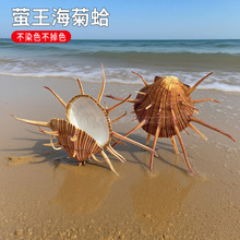 ��Ȼ��ؐ��Ξ�����ո��ǘ˱��ղ��~���쾰�b����Ӽ���ؔ�[��