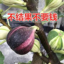 �o�����m�ش󲨼��t�Ϸ������o����������ԷNֲ�o����������ش�