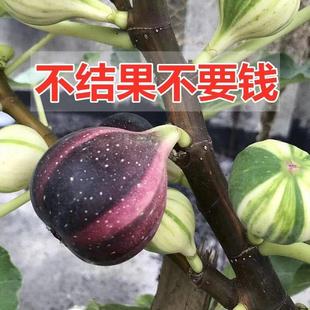 �o�����m�ش󲨼��t�Ϸ������o����������ԷNֲ�o����������ش�