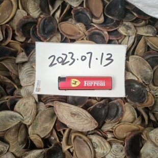 ��Ȼ�����ϸ���㺣���w�݅�1000�˹ŷ����y���㌣����Ȼ��ԭ��