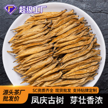 RtPcŘѿ^2025tȫѿɢb~