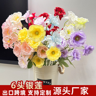 ���滨6�^�yɏ����c���Ż���Y�����쾰��ˇ���컨�ҾӲ廨�[��