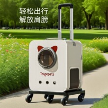 è��̫�ղ�˫������������ﱳ����Ӧ��è��è��������è�乷����