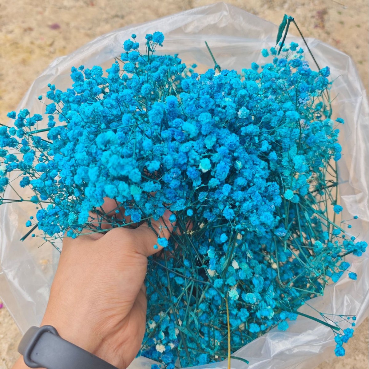 (2-10)cm 블루 쇼트 플라워 헤드 500g