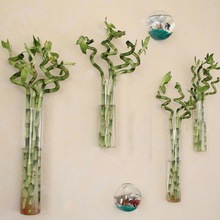 壁挂式室内装饰DIY居家富贵竹创意透明玻璃花瓶花插圆柱水培植物