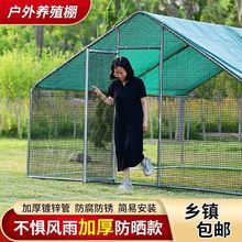 �u���u�\�����ش�̖�����Bֳ�û\�����ȸ����\���ͼ����u��