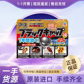 日本安速杀蟑饵剂家用小黑帽蟑螂屋神器12枚杀虫剂现货批发