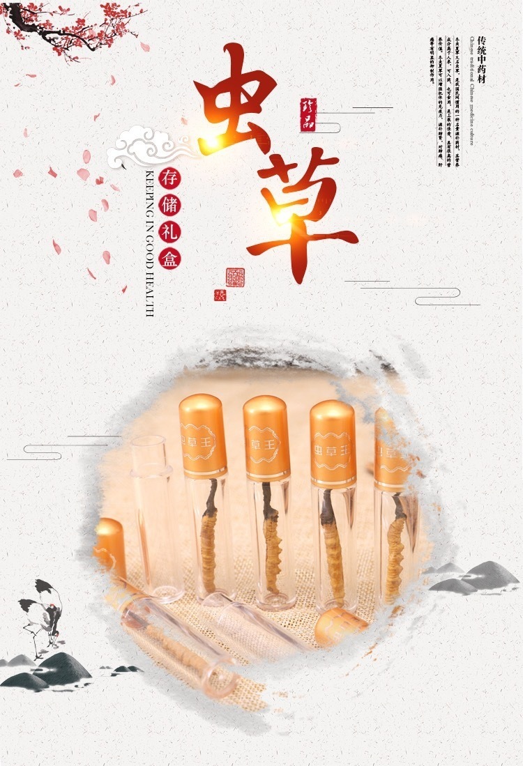 Dried Cordyceps Sinensis Dong Chong Xia Cao Whole Caterpillar Fungus Tibetan Nagqu Wild-Harvested Tonic Herb for Cooking and Decoction overview