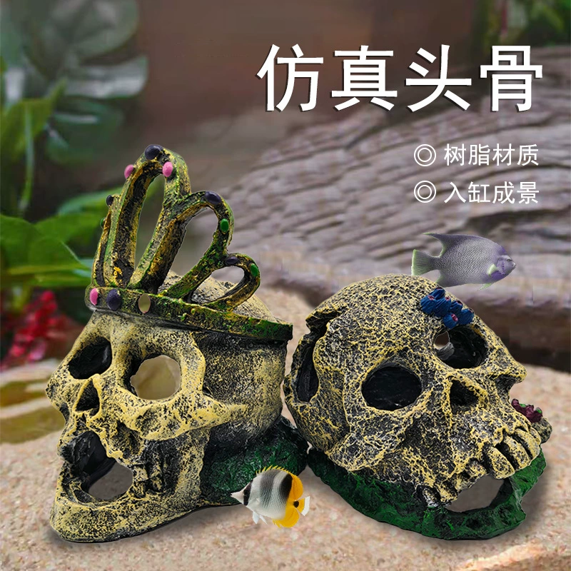 Новый череп, чтобы избежать пещерного гнезда ящерицы