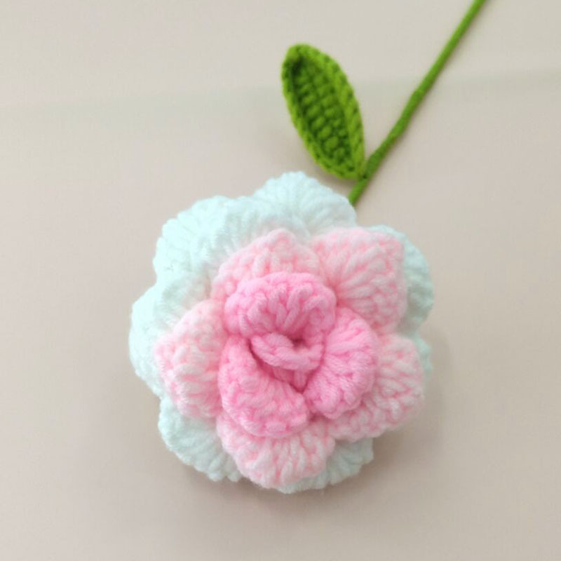 Producto terminado-punta Rosa degradado barbilla rosa