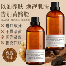 ���η����������������o�w���񿹰��沿�o�w��y����̝����A��